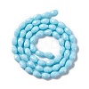 Faceted Glass Beads Strands GLAA-E037-01G-2
