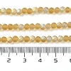 Transparent Glass Beads Strands X1-EGLA-A034-T4mm-MB04-5
