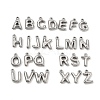 304 Stainless Steel Charms SA-CBA6262-01P-1
