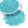 Baking Paint Glass Seed Beads SEED-T006-03H-3