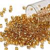 TOHO 6/0 Round Beads SEED-XTR06-0022-1