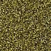 MIYUKI Delica Beads X-SEED-J020-DB2164-3