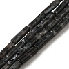 Natural Larvikite Beads Strands G-D464-28-1