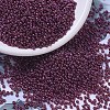 MIYUKI Round Rocailles Beads X-SEED-G007-RR0313-1