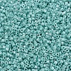 MIYUKI Delica Beads SEED-MY11-DB1567-3