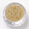 FGB 8/0 Grade A Round Glass Seed Beads SEED-Q007-3mm-F33-2