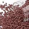 TOHO Round Seed Beads SEED-XTR11-PF0564F-1