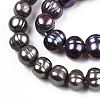 Natural Cultured Freshwater Pearl Beads Strands PEAR-N013-08D-5