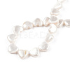 Natural Freshwater Shell Beads Strands SHEL-N026-220B-4