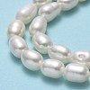 Natural Cultured Freshwater Pearl Beads Strands PEAR-J006-17C-01-4
