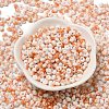 Baking Paint Glass Seed Beads SEED-F006-01A-10-2
