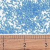MIYUKI Delica Beads SEED-MY11-DB1318-4