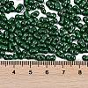 Baking Paint Glass Seed Beads X1-SEED-K010-A23-4