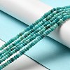 Natural Dolomite Beads Strands G-K350-A01-01C-2
