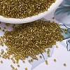 MIYUKI Delica Beads SEED-X0054-DB0909-1