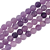 Olycraft 2 Strands Natural Lepidolite/Purple Mica Stone Beads Strands G-OC0004-86-1