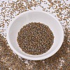 MIYUKI Delica Beads SEED-X0054-DB0981-2
