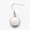 Stainless Steel Dangle Earrings EJEW-WH0001-A02-2
