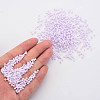8/0 Opaque Glass Seed Beads SEED-S048-N-014-5