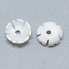 Freshwater Shell Beads SHEL-S275-041-2