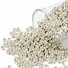 TOHO Round Seed Beads SEED-XTR08-0558-1