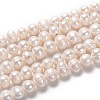 Natural Cultured Freshwater Pearl Beads Strands PEAR-L033-94-1