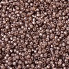 MIYUKI Round Rocailles Beads X-SEED-G007-RR0641-3