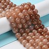 Round Natural Sunstone Beads Strands X-G-F222-33-8mm-1-5
