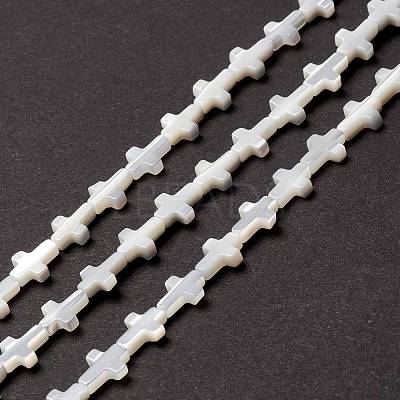 Natural Trochid Shell/Trochus Shell Beads SSHEL-O0001-22B-1