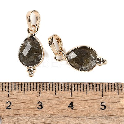 Natural Labradorite Faceted Pendans KK-L218-004G-02-1
