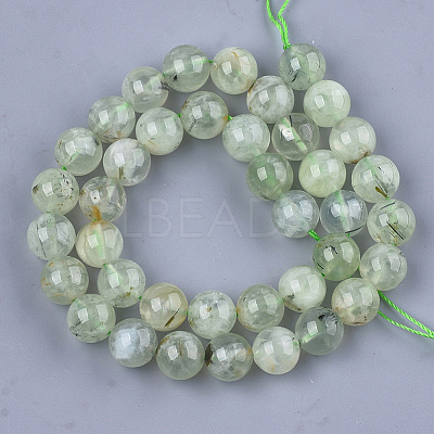 Natural Prehnite Beads Strands G-S333-10mm-032-1