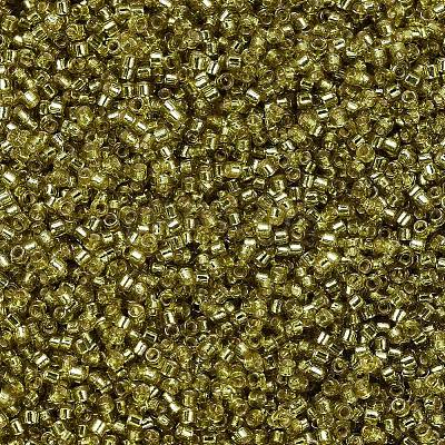 MIYUKI Delica Beads X-SEED-J020-DB2164-1