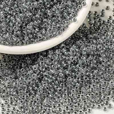 MIYUKI Round Rocailles Beads X-SEED-G008-RR0240-1