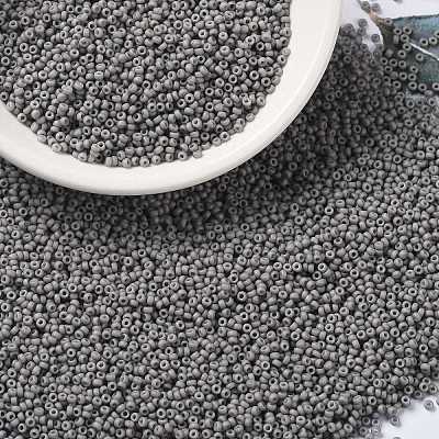 MIYUKI Round Rocailles Beads X-SEED-G009-RR2317-1
