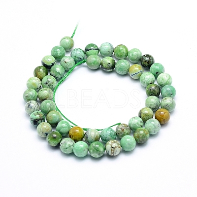 Natural Variscite Beads Strands G-G823-02-8mm-1