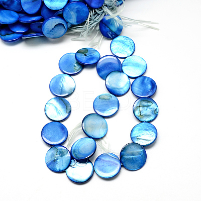 Natural Shell Beads Strands SHS054-017-1