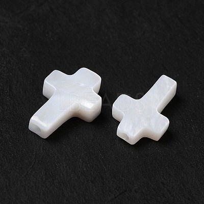 Natural Freshwater Shell Beads BSHE-E026-09-1