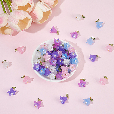 80Pcs 5 Colors Transparent Acrylic Pendants OACR-BM0001-05-1
