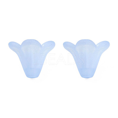 Frosted Acrylic Beads PL692-9-1