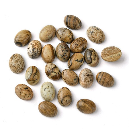 Natural Picture Jasper Cabochons G-A094-01B-48-1