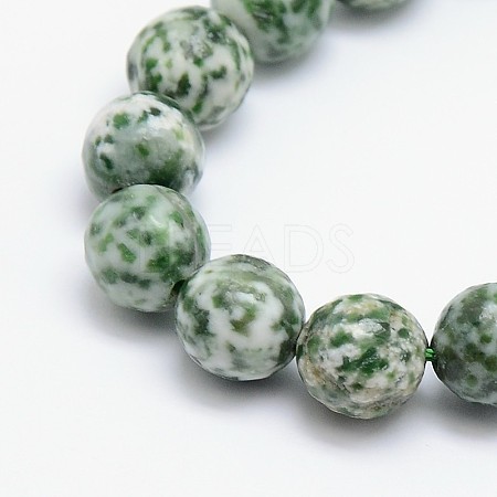Natural Green Spot Jasper Beads Strands G-L148-6mm-01-1