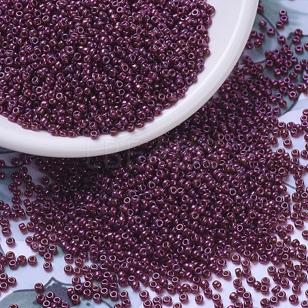 MIYUKI Round Rocailles Beads X-SEED-G007-RR0313-1