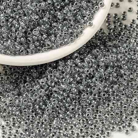 MIYUKI Round Rocailles Beads X-SEED-G008-RR0240-1