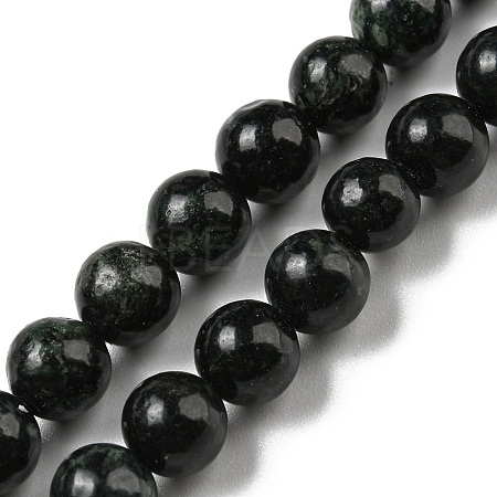Natural Serpentine Beads Strands G-P504-6mm-01-1