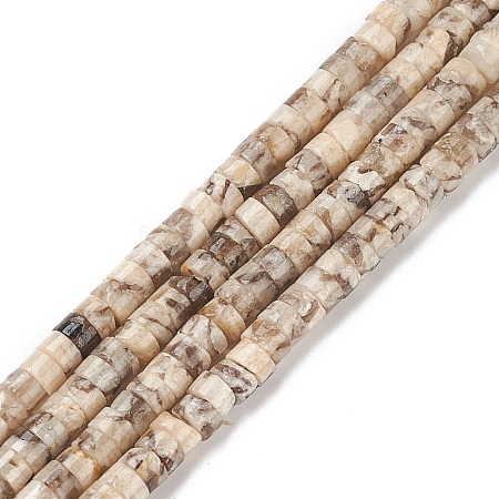 Natural Feldspar Beads Strands X-G-H230-47-1