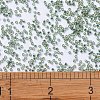 MIYUKI Delica Beads SEED-MY11-DB2165-4