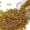 TOHO 11/0 Round Beads X-SEED-TR11-0022CF-1
