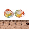 3D Lampwork & Brass Core European Beads LAMP-Q042-01D-3
