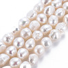 Natural Keshi Pearl Beads Strands PEAR-S020-C02-2