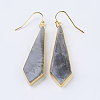 Natural Labradorite Dangle Earrings EJEW-P145-03A-1